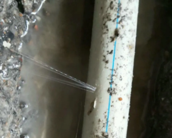 上街卫生间测漏水多少钱