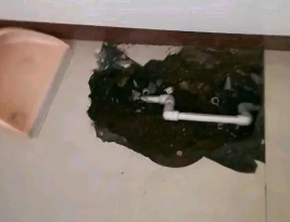 上街卫生间测漏水多少钱